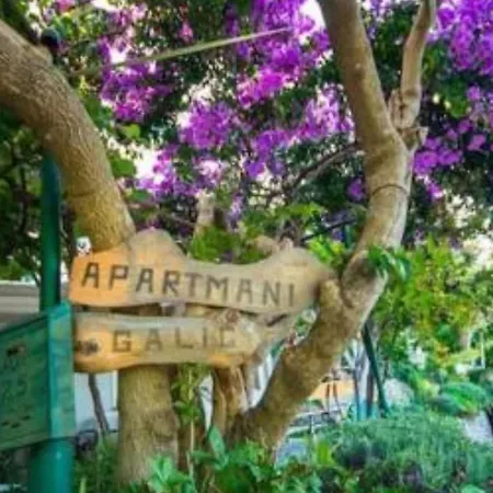 Two-bedroom With View *