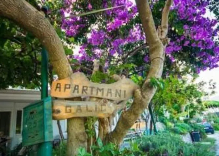 Two-bedroom With View *