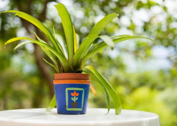 Appartement Two-bedroom With View Ploce (Dubrovnik-Neretva)