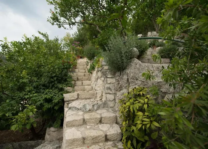 Two-bedroom With View Appartement